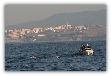 Suchbild - Wo ist der Orca?