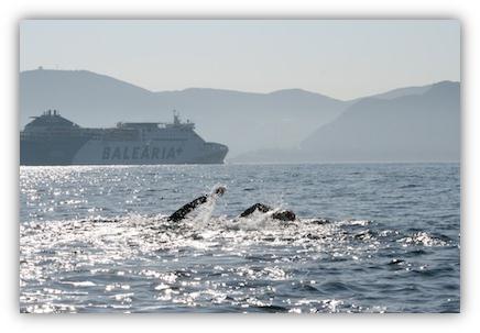 Vorsicht Schiffchen - Axel & Micha - swim2africa
